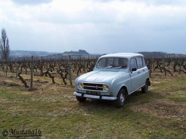 Dans les vignes charentaises le 01-03-2009