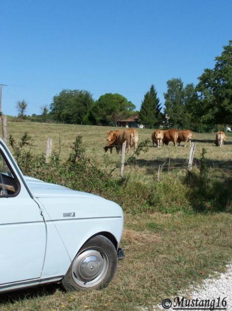 Ah ! La campagne !