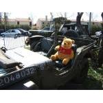 (49) Winnie en Jeep