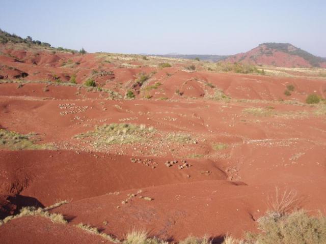 ça vous donne pas envie de venir un paysage pareil..