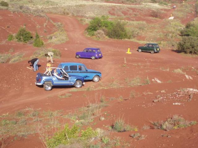 les trelles à l'etat sauvage! dur a dompter dans ce terrain!