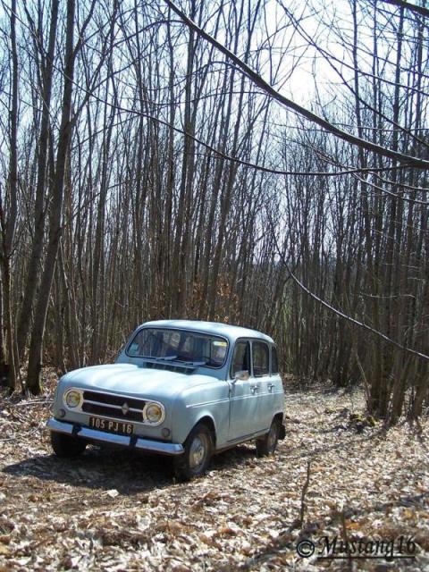 Dans les bois de vilars