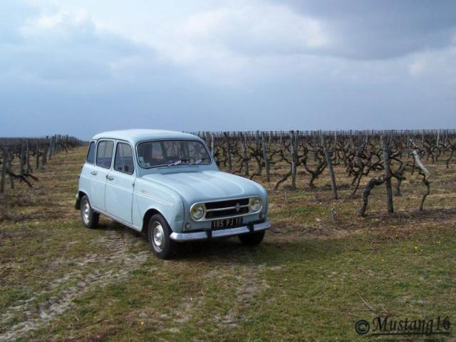 Dans les vignes charentaises le 01-03-2009