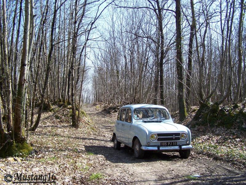 Dans les bois de vilars