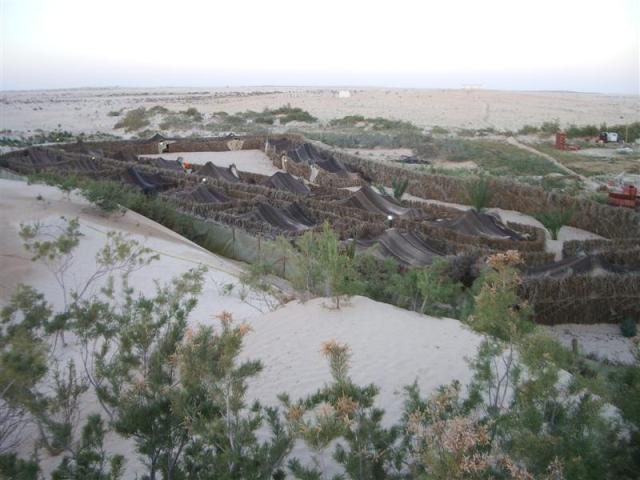 Bivouac en plein désert.