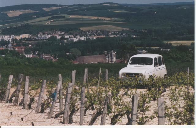 2004 06-00 1è vignes des Puces