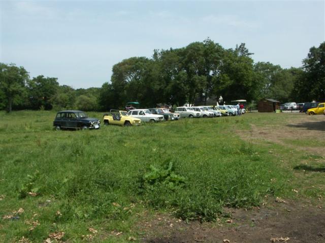 dans une prairie  lors du pic-nic de dimanche